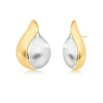 Silver and Gold Earrings