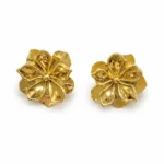 Gold No Color Earrings