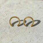 Gold No Color Earrings
